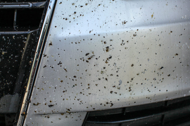 Insect residue on a car bonnet before cleaning
